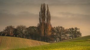 Preview wallpaper hills, trees, arable land