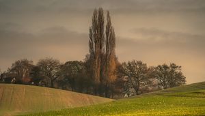 Preview wallpaper hills, trees, arable land