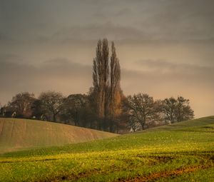 Preview wallpaper hills, trees, arable land