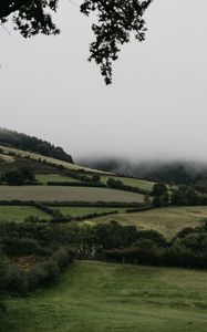 Preview wallpaper hills, trees, bushes, fog, landscape