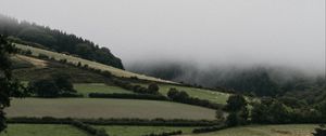 Preview wallpaper hills, trees, bushes, fog, landscape