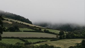 Preview wallpaper hills, trees, bushes, fog, landscape