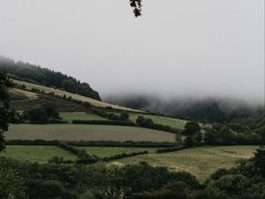 Preview wallpaper hills, trees, bushes, fog, landscape