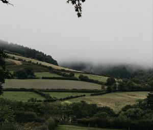 Preview wallpaper hills, trees, bushes, fog, landscape