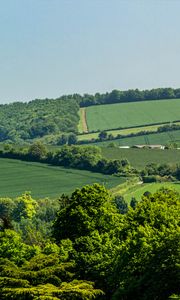 Preview wallpaper hills, trees, fields, nature