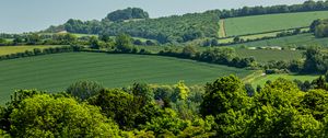 Preview wallpaper hills, trees, fields, nature