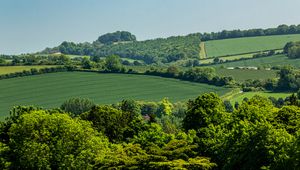 Preview wallpaper hills, trees, fields, nature