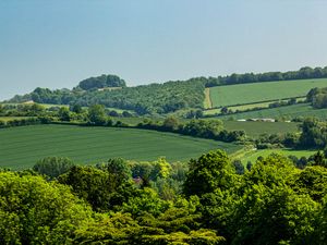 Preview wallpaper hills, trees, fields, nature