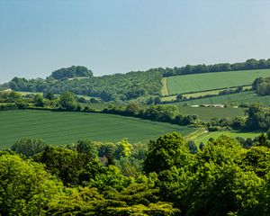 Preview wallpaper hills, trees, fields, nature