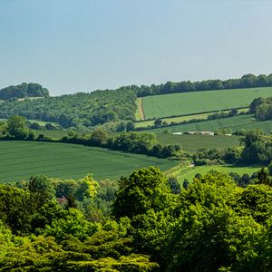 Preview wallpaper hills, trees, fields, nature