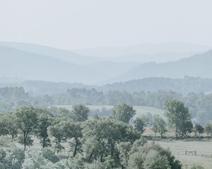 Preview wallpaper hills, trees, fog, horizon, landscape