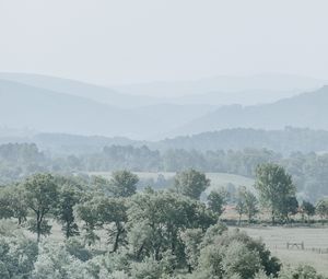 Preview wallpaper hills, trees, fog, horizon, landscape