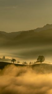 Preview wallpaper hills, trees, fog, mountains, nature