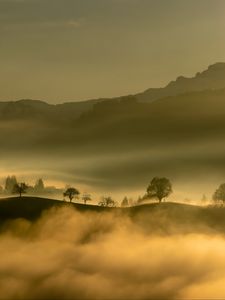 Preview wallpaper hills, trees, fog, mountains, nature