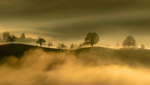 Preview wallpaper hills, trees, fog, mountains, nature