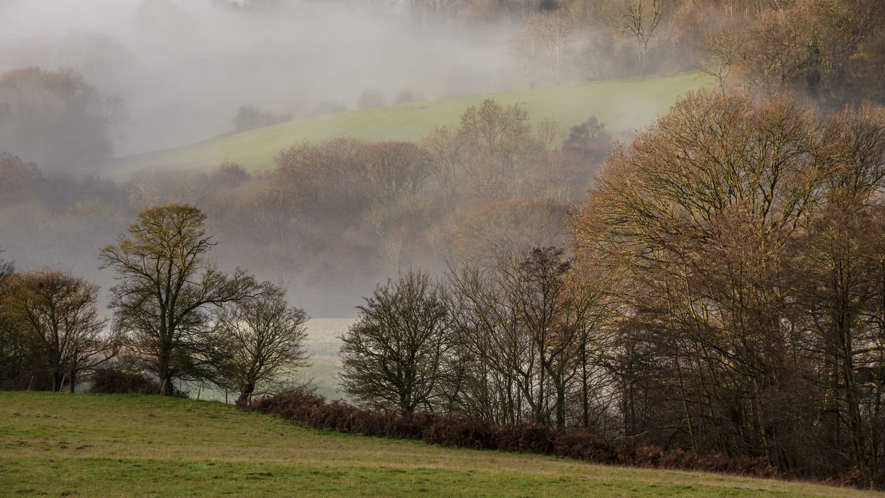 Wallpaper hills, trees, fog, lawn, landscape
