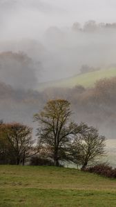 Preview wallpaper hills, trees, fog, lawn, landscape