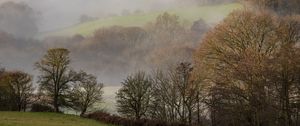 Preview wallpaper hills, trees, fog, lawn, landscape