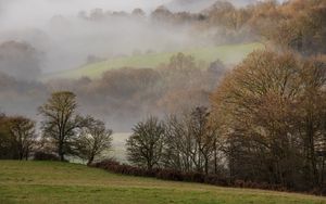 Preview wallpaper hills, trees, fog, lawn, landscape