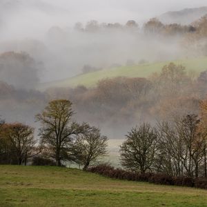 Preview wallpaper hills, trees, fog, lawn, landscape