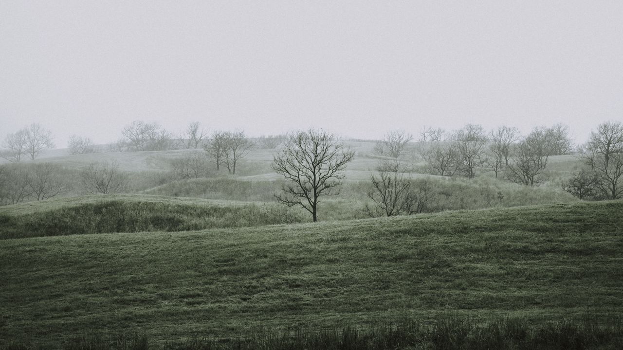 Wallpaper hills, trees, fog, nature