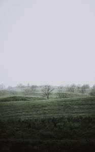 Preview wallpaper hills, trees, fog, nature