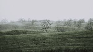 Preview wallpaper hills, trees, fog, nature