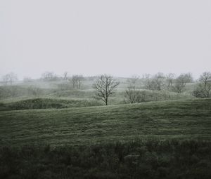 Preview wallpaper hills, trees, fog, nature