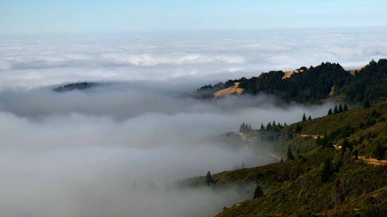 Wallpaper hills, trees, fog, landscape, nature