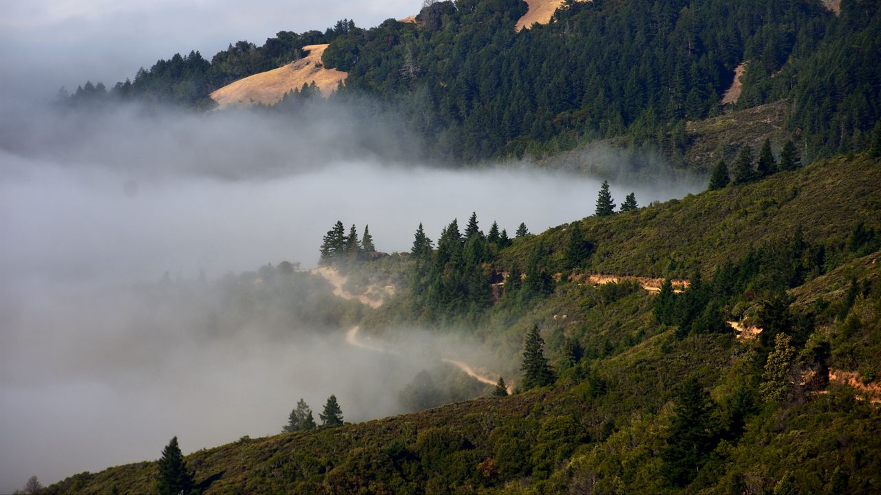 Wallpaper hills, trees, fog, nature, landscape