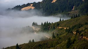Preview wallpaper hills, trees, fog, nature, landscape