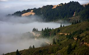 Preview wallpaper hills, trees, fog, nature, landscape