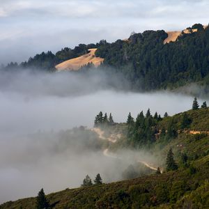 Preview wallpaper hills, trees, fog, nature, landscape