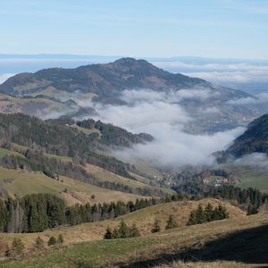 Preview wallpaper hills, trees, fog