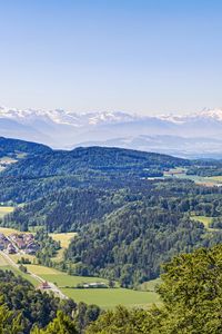 Preview wallpaper hills, trees, forest, grass, mountains