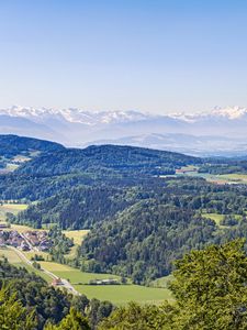 Preview wallpaper hills, trees, forest, grass, mountains