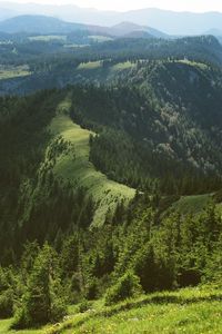 Preview wallpaper hills, trees, forest, grass, distance