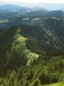 Preview wallpaper hills, trees, forest, grass, distance