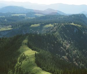 Preview wallpaper hills, trees, forest, grass, distance