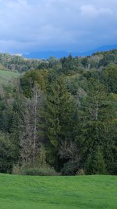 Preview wallpaper hills, trees, forest, nature, greenery