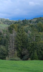 Preview wallpaper hills, trees, forest, nature, greenery