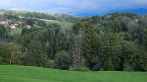 Preview wallpaper hills, trees, forest, nature, greenery