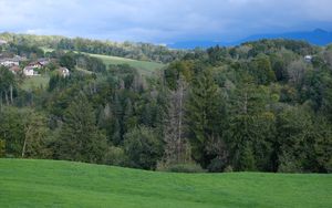 Preview wallpaper hills, trees, forest, nature, greenery