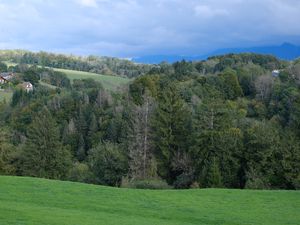 Preview wallpaper hills, trees, forest, nature, greenery