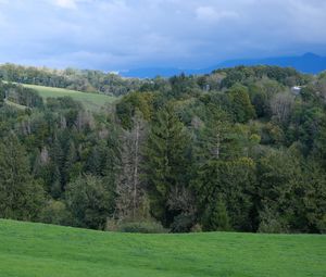 Preview wallpaper hills, trees, forest, nature, greenery