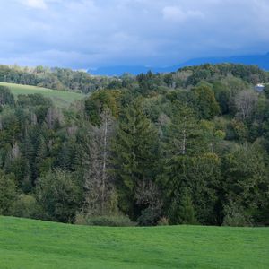 Preview wallpaper hills, trees, forest, nature, greenery