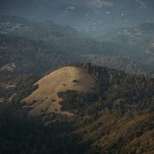 Preview wallpaper hills, trees, forest, landscape, view