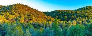 Preview wallpaper hills, trees, forest, nature