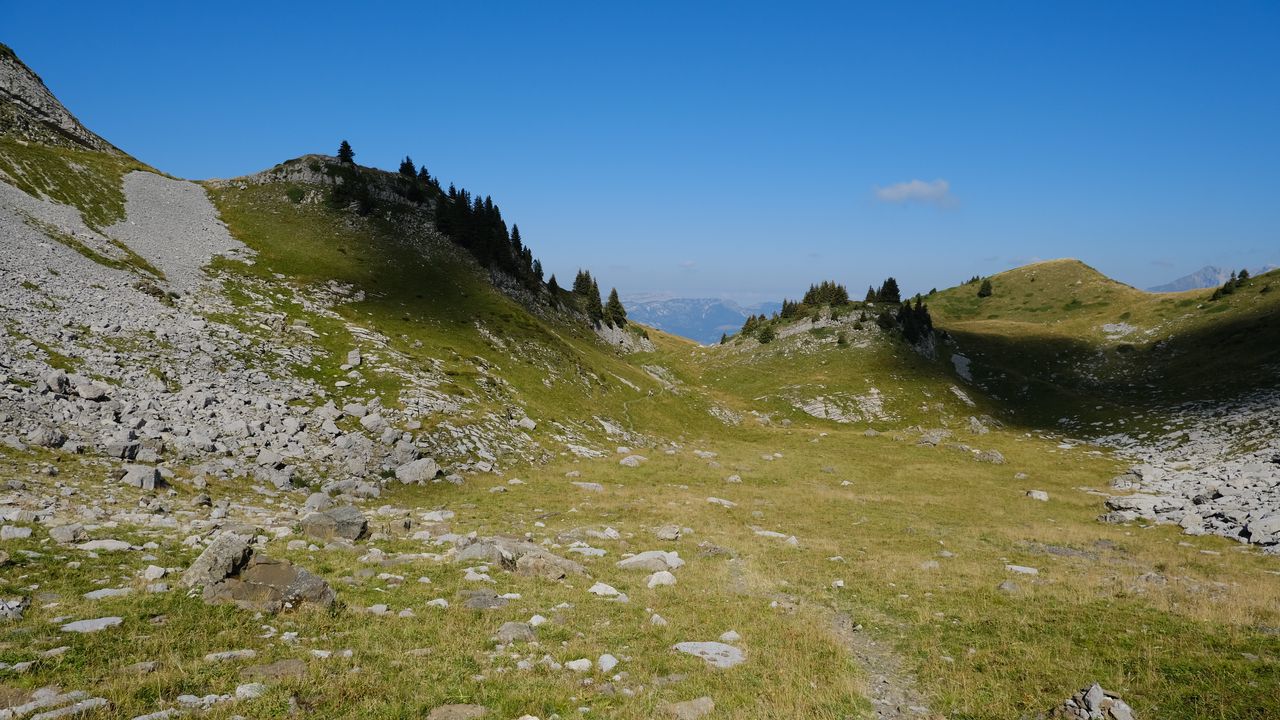 Wallpaper hills, trees, grass, stones, landscape