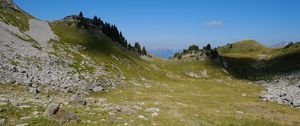 Preview wallpaper hills, trees, grass, stones, landscape